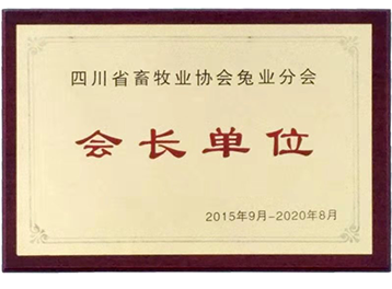 企业荣誉