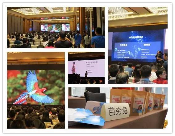 芭夯兔拥抱互联网实现快速跨界与融合